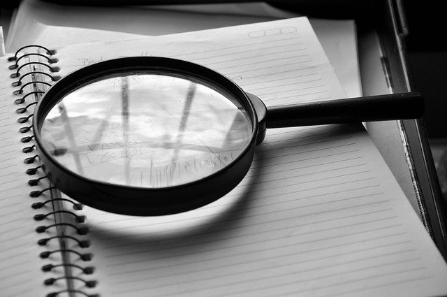 Observation entreprise